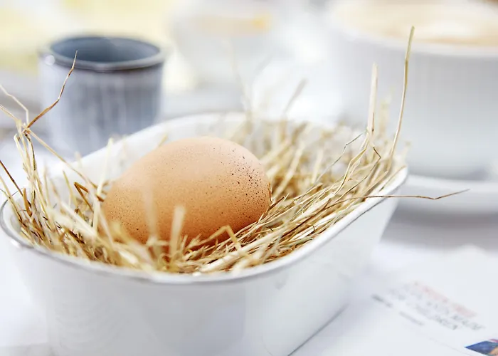 Nobis Copenhagen, A Member Of Design